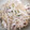 ぜんだいママ's cooksnap of when they made もやしとイカゲソの簡単炒め.