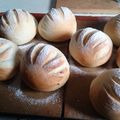 にゃんがす's cooksnap of when they made はちみつ入り☆ミルクハース.