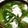 みゆかちゃん's cooksnap of when they made 春菊豆腐簡単あったかダイエット中華スープ.