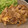 はちみつの妖精's cooksnap of when they made 豚肉玉ねぎと半熟卵のオイスターソース炒め.