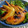 hiromi56's cooksnap of when they made 液体塩こうじで下処理☆手羽先の照り焼き！.