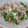 Nekozame's cooksnap of when they made もやしと豚小間炒め.