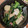 さゅりーん's cooksnap of when they made 簡単！カリフラワー小松菜のバター醤油炒め.