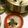 sakutakuhitoshu's cooksnap of when they made 塩サバと白菜の鍋.