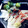★サンセット★'s cooksnap of when they made 甘エビの昆布締め.