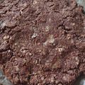 kam嫁's cooksnap of when they made 小麦粉なし！超簡単ココアおからケーキ.