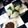 ★サンセット★'s cooksnap of when they made 肝醤油で食べるイカ刺し.