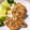 minminto's cooksnap of when they made ✿豚ヒレ肉の粒マスタード焼き✿.