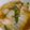 ニナw's cooksnap of when they made タンメン風！ニラもやしと白菜の野菜スープ.