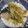 EnjoySun's cooksnap of when they made 鰆の紹興酒蒸し・中華風ｿｰｽ.