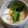 ねずみんパラダイス's cooksnap of when they made 謹製＊茶碗蒸し＊.