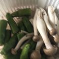 大阪のちゃーちゃん's cooksnap of when they made ししとうのめんつゆ煮浸し.