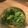 ＊ono＊'s cooksnap of when they made せりのおひたし.