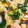 ねこねこさーん's cooksnap of when they made すき焼き風煮.