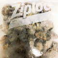 ∞らら∞'s cooksnap of when they made あさりを冷凍保存！.