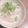 うまうまランラン's cooksnap of when they made ＊赤かぶの甘酢漬け＊.