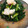 ティモ333's cooksnap of when they made 捨てないで！大根の葉と海老のふりかけ.