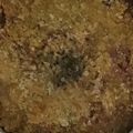 ma___111's cooksnap of when they made 冷凍春巻きでイタリアン♪かんたんおいし〜.