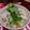３１０ko's cooksnap of when they made そらまめと明太子の混ぜご飯.