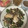wataru1026's cooksnap of when they made 簡単　めかじきの野菜照り焼き.