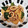 ショコリ's cooksnap of when they made 絶品！イカと筍のオイスター炒め.
