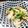 あおいのはな's cooksnap of when they made 白菜と春菊の柚子胡椒ポン酢和え♪.
