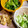 大阪のちゃーちゃん's cooksnap of when they made シロ菜とうす揚げのあっさり煮.