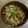 わっきー0424's cooksnap of when they made かいわれだいこんと鶏皮の塩レモン和え.