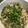 ☆maripei☆'s cooksnap of when they made おうちで居酒屋☆簡単！鶏皮ポン酢.