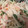 ﾌﾞﾚﾝﾀﾞ's cooksnap of when they made 大根とハムの簡単サラダ♪.