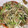 アピナス's cooksnap of when they made 豚肉と野菜の塩昆布炒め.