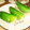 savemayoko's cooksnap of when they made 【農家のレシピ】長芋の和風生春巻き.