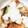 クック9PCM52☆'s cooksnap of when they made サバのみぞれ煮.