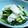 クリーピングタイム☆'s cooksnap of when they made カブの浅漬け.