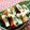あーこ姐's cooksnap of when they made 簡単★はんぺんのチーズ焼き.