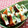 あーこ姐's cooksnap of when they made 簡単★はんぺんのチーズ焼き.