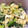 ma2kaboch's cooksnap of when they made 小松菜しらす油揚げの煮浸し.