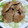 55才のおじさん's cooksnap of when they made 簡単！！豚の生姜焼き！！.