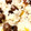かなちん0807's cooksnap of when they made むかごとサツマイモのご飯.