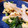 あきつま（杏花☆）'s cooksnap of when they made 菜の花と竹輪の卵とじ.