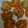 ☆ドキンちゃん☆”'s cooksnap of when they made マヨネーズで簡単♪海老の磯辺揚げ.