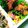 DORA＊DORA's cooksnap of when they made カニカマとニラのオイスターソース和え.