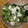 キ＊ラ's cooksnap of when they made 白だしコク旨★豆腐衣の生ほうれん草サラダ.