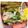 ゆけり３兄弟's cooksnap of when they made お弁当の彩りに✿カニカマとミニアスパラ♪.