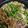 クックPB65GY☆'s cooksnap of when they made 常備野菜で☆チンジャオロースー風.