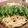 1sao's cooksnap of when they made 絶品ピリ辛博多風もつ鍋.