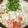 ぽぽりん's cooksnap of when they made 〆まで美味しい＊長芋トロっと温まる豆乳鍋.