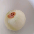 松潤LOVE♥️♥️'s cooksnap of when they made 玉ねぎの皮が、簡単にむける方法.