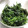 向日葵くっく's cooksnap of when they made ほうれん草の中華風和え.