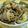 ぐりぐらぐりぐら's cooksnap of when they made 我が家のすき焼き丼.